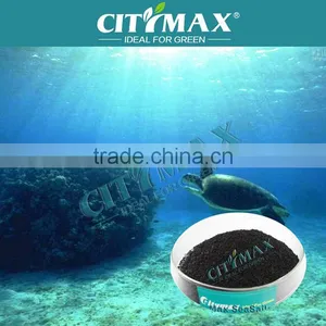 Factory Supply High Quality Seaweed Extract thumbnail-1