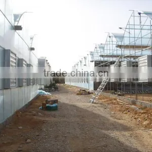 Commercial Greenhouses thumbnail-3