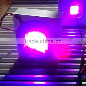 Aluminium Cob Led Light Heat Sink Cob Grow Light Kit 100w Cob Led Full Spectrum thumbnail-3