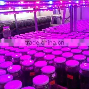 Best Seller 20w Led Grow Tube Growing Led Light Use in Amsterdam thumbnail-4