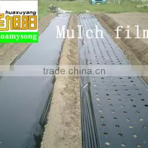 PE Black Agricultural Mulch Film thumbnail-1