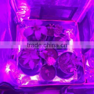 300 LED Grow Light Full Spectrum CE ROHS Certification Lighting for Indoor Greenhouse / Garden Plants Growing, thumbnail-5