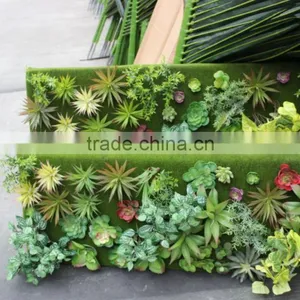 Succulent Plants Green Wall Interior Decoration for Sale thumbnail-1