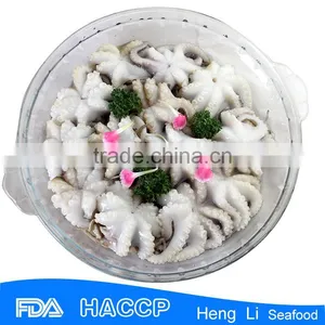High Quality Price Baby Octopus thumbnail-2
