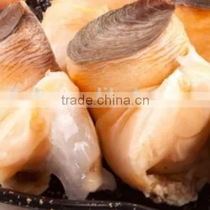 Conch Meat thumbnail-4