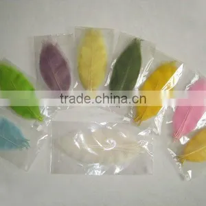 Skeleton Leaves thumbnail-1