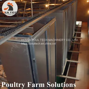 H Type Layer Chicken Chicken Cage With Full Automatic Equipment for 50000 Birds thumbnail-3