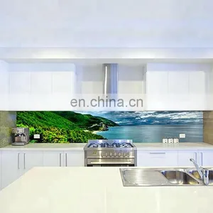 High Goss 575mm Silk Screen Printing Glass Splash Backs for Kitchen thumbnail-4