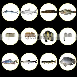 High Quality New Style Mackerel Sabiki Rig With Different Sea Fishing Hooks Size thumbnail-1