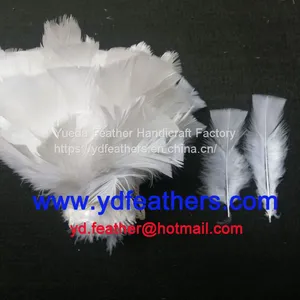 Bleached Parried Turkey Flat Plumage Strung From China thumbnail-1