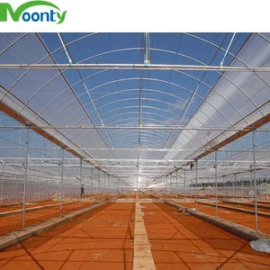 Commercial Use Agriculture Equipment PE Plastic Large Tunnel Vegetables Greenhouse thumbnail-4