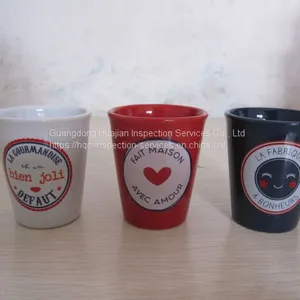 Mug Professional Inspection on Site Inspection thumbnail-2