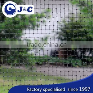 Bespoke Size Anti Hummingbirds Protection Netting Use for Hummingbirds , Anti Bird Protection Net,PE Agricultural Bird Netting thumbnail-1