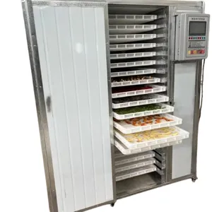 Food Processing Drying Equipment for Dehydrating Fruits and Vegetables in Agri-Food Industry thumbnail-2