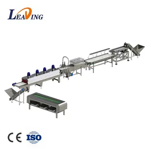 Automatic Industrial Palm Dates Processing Machine High Capacity Dates Washing Pitting Grading Drying Line for Dates Factory thumbnail-1