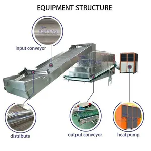 Small Cassava Drying Machine Dehydration for Cassava Slice Vegetable Belt Dryer Machine EPC thumbnail-2