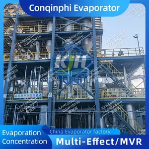 10 TPD Scraper Low Temperature Vacuum Drying Crystallizer for MVR MEE Mother Liquor Recovery thumbnail-2