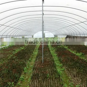 Tunnel Plastic Greenhouse Film Agriculture thumbnail-2