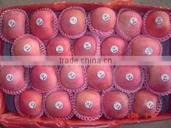 Fuji Apple Fruit thumbnail-1