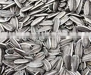 Chinese Sunflower Seeds thumbnail-1