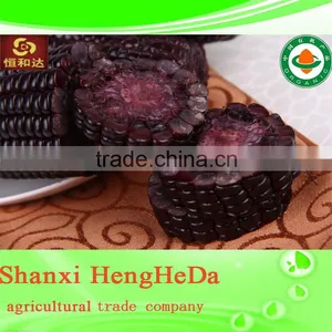 Carbon Fiber Yellow Corn for Animal Feed thumbnail-4