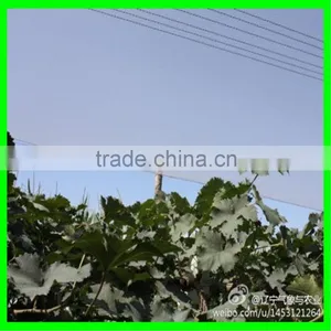 Anti Hail Net,hail Protection Net for Fruit Plantations Apple Tree thumbnail-5