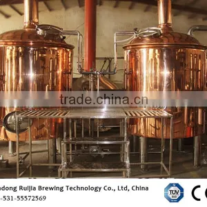 Ruijia Beer Manufacturing Fermenter Micro Brewery,brewhouse Equipment thumbnail-4