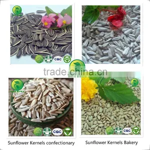 Sunflower Seeds Long Type 5009 Inner Mongolia thumbnail-4