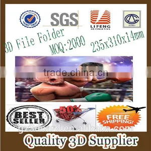 Guangzhou Lifeng OEM Lenticular 3d File Folder for Sale thumbnail-1