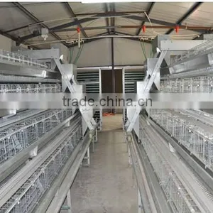Steel Galvanized Chicken Laying Cage With Auto Drinker and Feeder thumbnail-1