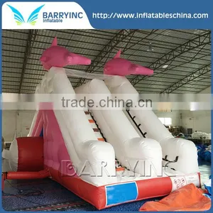 Amazing Customized Swimming Pool Water Slide , Portable Kids Water Slide thumbnail-1