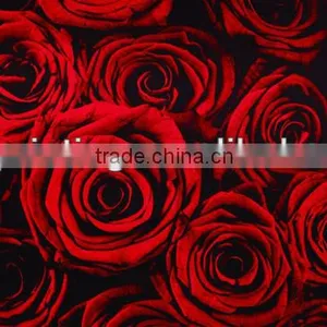 Living Room Wall Paintings thumbnail-1