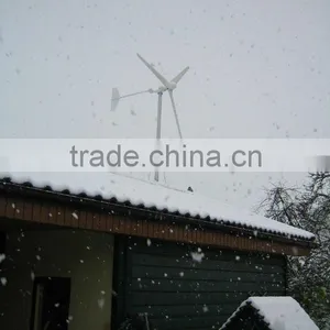 600w Windmill Generator Hotselling thumbnail-1