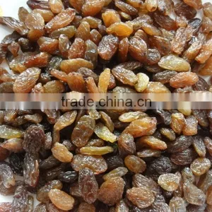 High Quality Dried Brown Sultana Raisin on Sale thumbnail-5