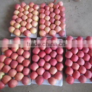Grade AA Juicy,sweet Red Fuji Apple thumbnail-2