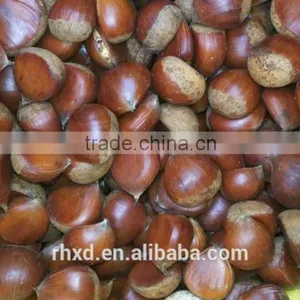 2015 Health Food Fresh Chinese Sweet Chestnuts/chinese Snack Food thumbnail-3