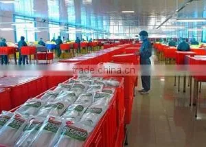 Yantai Shuangta Food Co., Ltd. company overview - view 3 thumbnail
