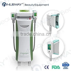 Flabby Skin Cryolipolysis Slimming Machine With 2 Fat Frozen Handle Fat Freeze Body Slimming Machine Slimming Reshaping thumbnail-2