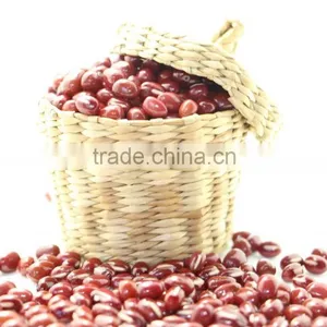 Adzuki Bean thumbnail-3