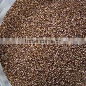 Factory Sale Ccd Sensor Seeds Optical Color Sorter thumbnail-6