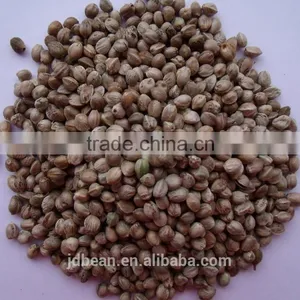 2015 Whole Hemp Seeds Good Grade thumbnail-6
