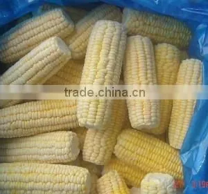 Frozen Yellow Maize (Sweet Corn) thumbnail-1