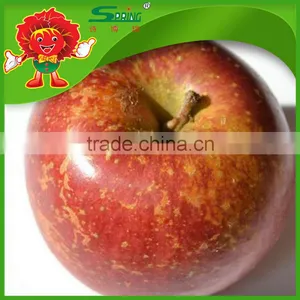 Fuji Apples High Quality Without Chemical Pesticide Fuji Apple thumbnail-1