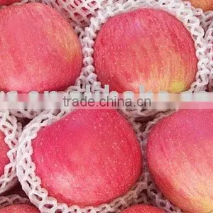 Red Fuji Apple thumbnail-1
