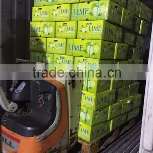 FRESH SEEDLESS LIME thumbnail-2
