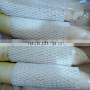 White Raddish Exporter thumbnail-3