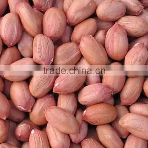Chinese Peanut Kernel thumbnail-1