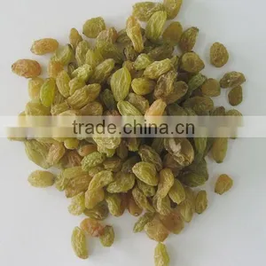Best Price Top Quality Seeded  Raisin(golden,green,sultana,sun Dried) thumbnail-3