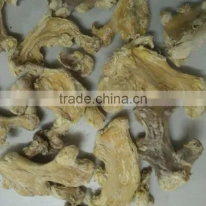 VIETNAMESE SUPPLIER OF DRIED SLICE GINGER BEST QUALITY thumbnail-3