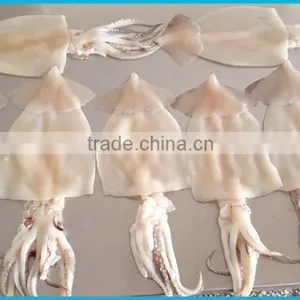 Full Automatic Peeling Machine of Squid Plate Skin Peeling Removing Machine thumbnail-3
